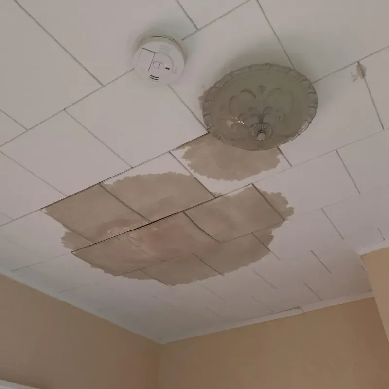 Ceiling Water Damage Repair in Mechanicsville, PA