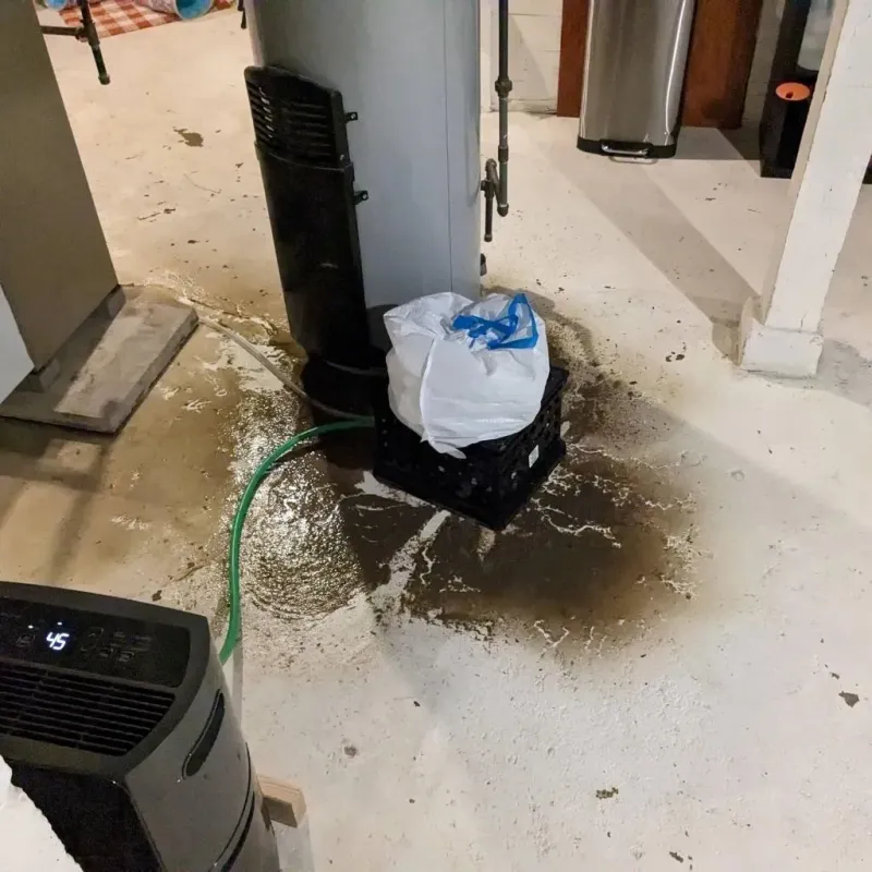 Sewage Backup Cleanup Service in Mechanicsville, PA